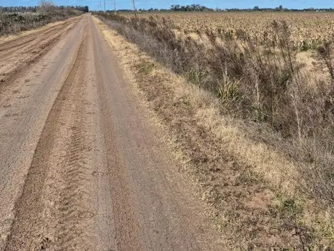 Campo en Venta en San Nicolas de los Arroyos, Partido de San Nicolás