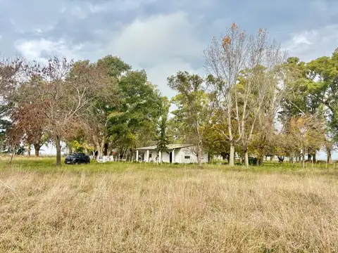 Campo en Venta en Magdalena, Partido de Magdalena