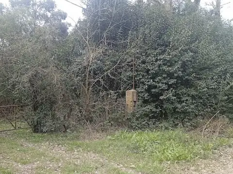 Campo en Venta en Zarate, Partido de Zárate
