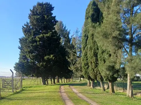 Campo en Venta en Magdalena, Partido de Magdalena