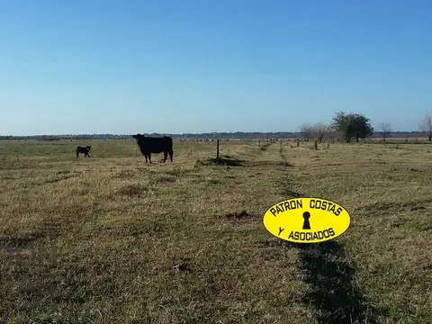 Campo en Venta en General Rodriguez, Partido de General Rodríguez