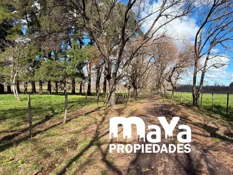 Campo en Venta en Zarate, Partido de Zárate