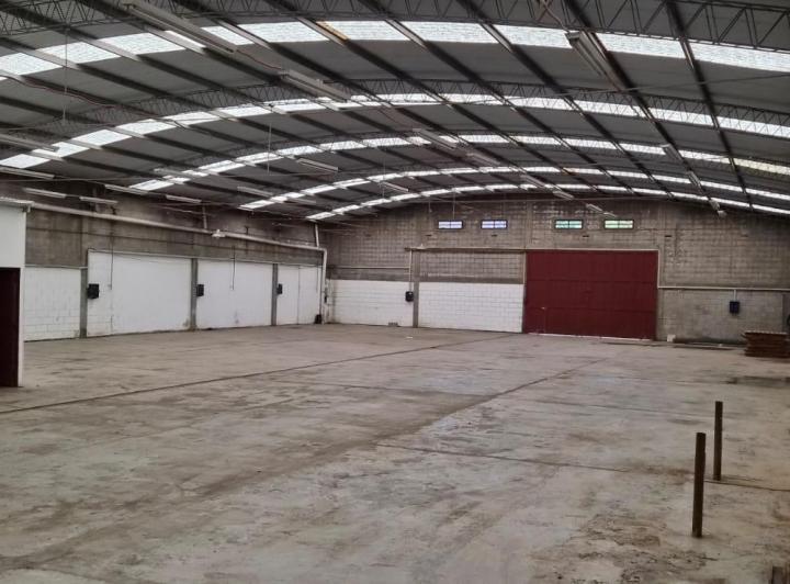 Bodega-Galpón · 700m²