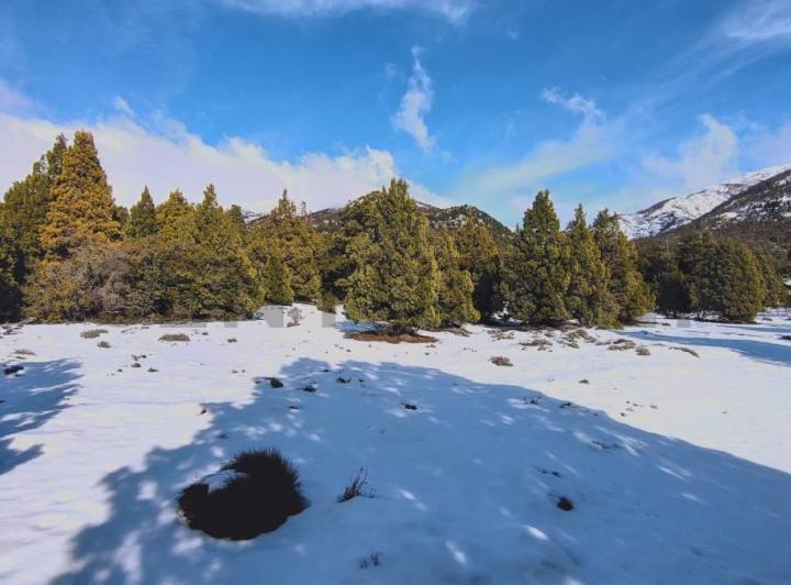 Terreno · 2534m²