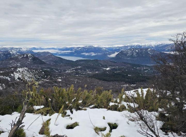 Terreno · 2600m²