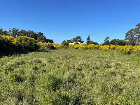 Terreno en Venta en Mar del Sud, Partido de General Alvarado