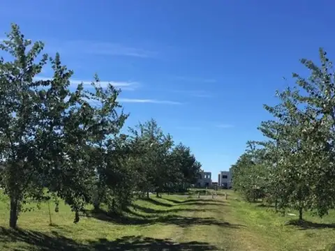 Terreno en Venta en Laguna Azul, Countries y Barrios Cerrados en Ezeiza