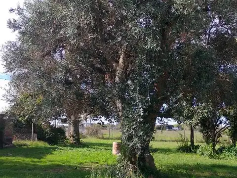 Terreno en Venta en La Plata, Partido de La Plata