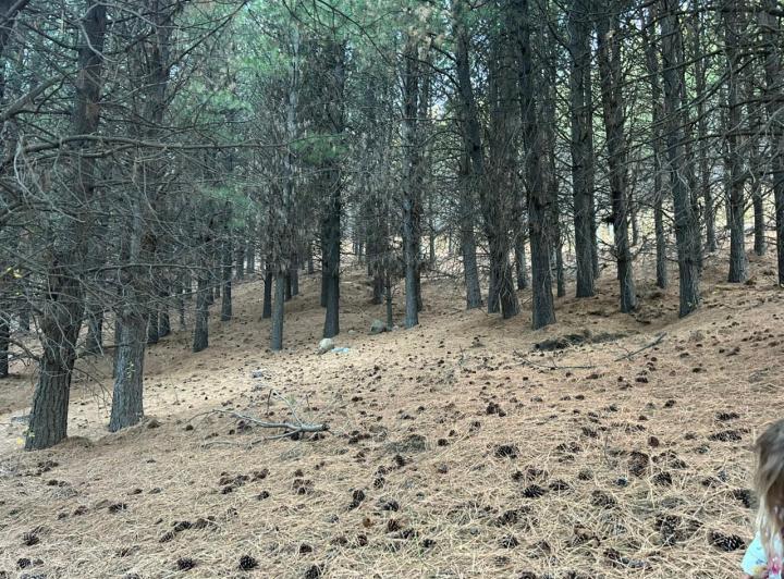 Terreno · 830m²