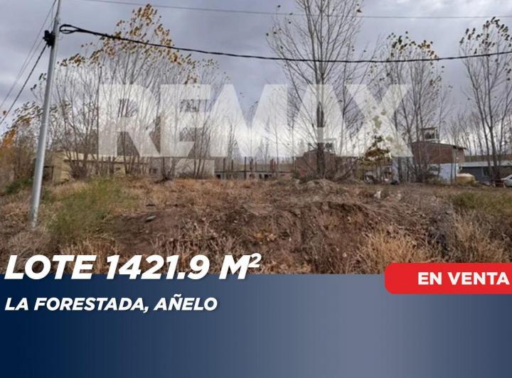 Terreno · 1421m²
