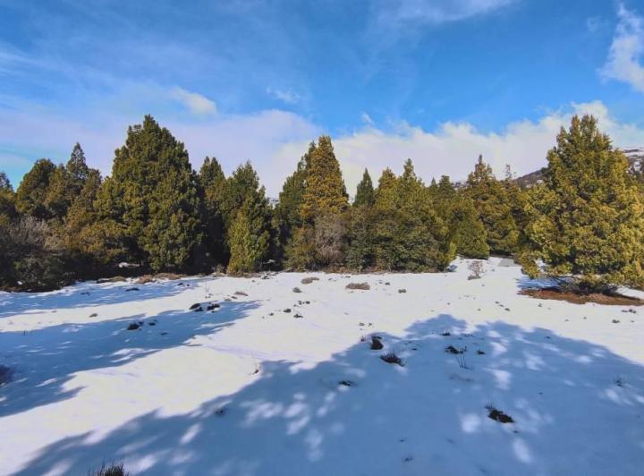 Terreno · 2500m²