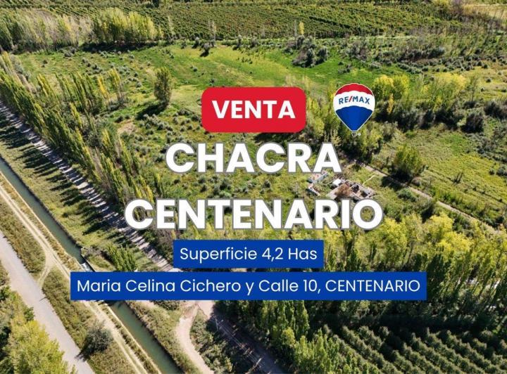 Campo · 4ha