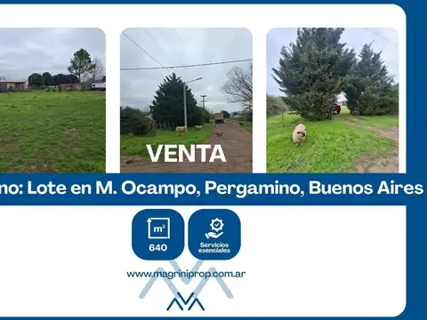 Terreno en Venta en Manuel Ocampo, Partido de Pergamino