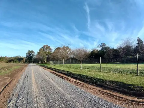 Terreno en Venta en San Eduardo  - Lujan, Lujan