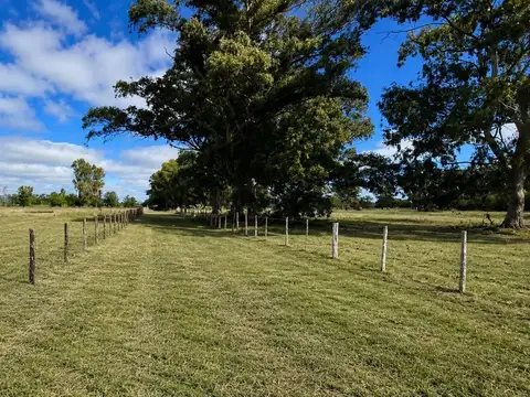 Terreno en Venta en San Miguel del Monte, Partido de Monte