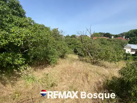 Terreno en Venta en Ostende, Partido de Pinamar
