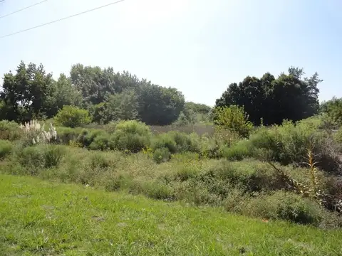 Terreno en Venta en Pilar Centro, Pilar