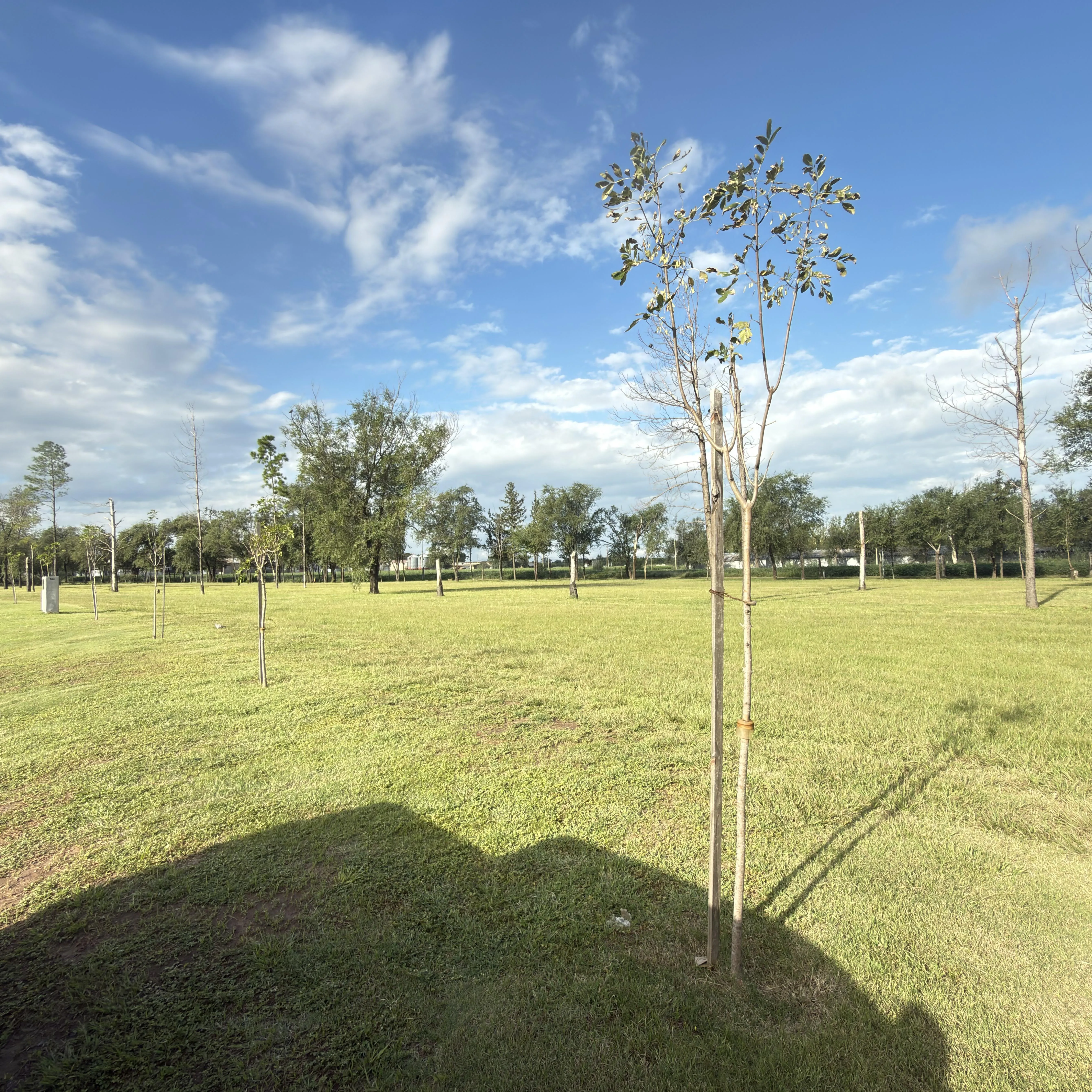 CHACRA DE LA VILLA - NUEVO PRECIO LIQUIDACION !! 1225 mts2 Excelente LOTE 105 Mz...