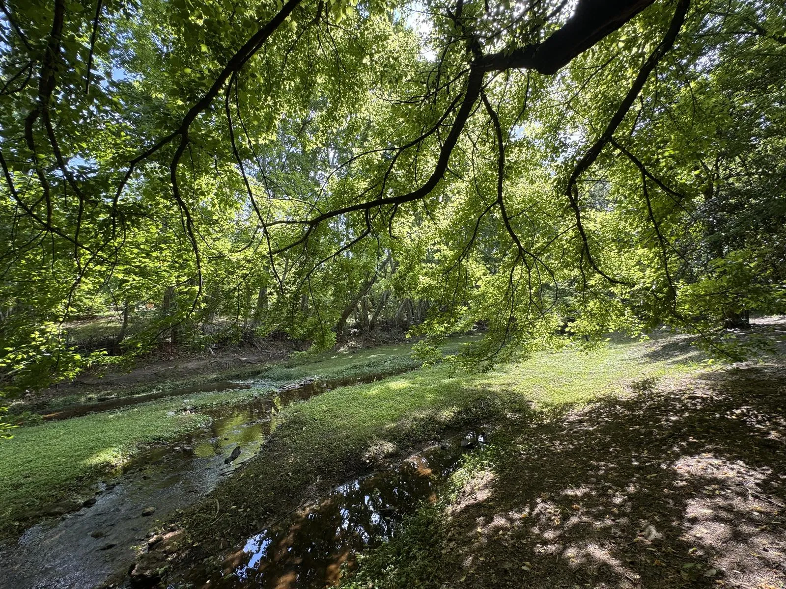 Terreno en Venta - Tanti