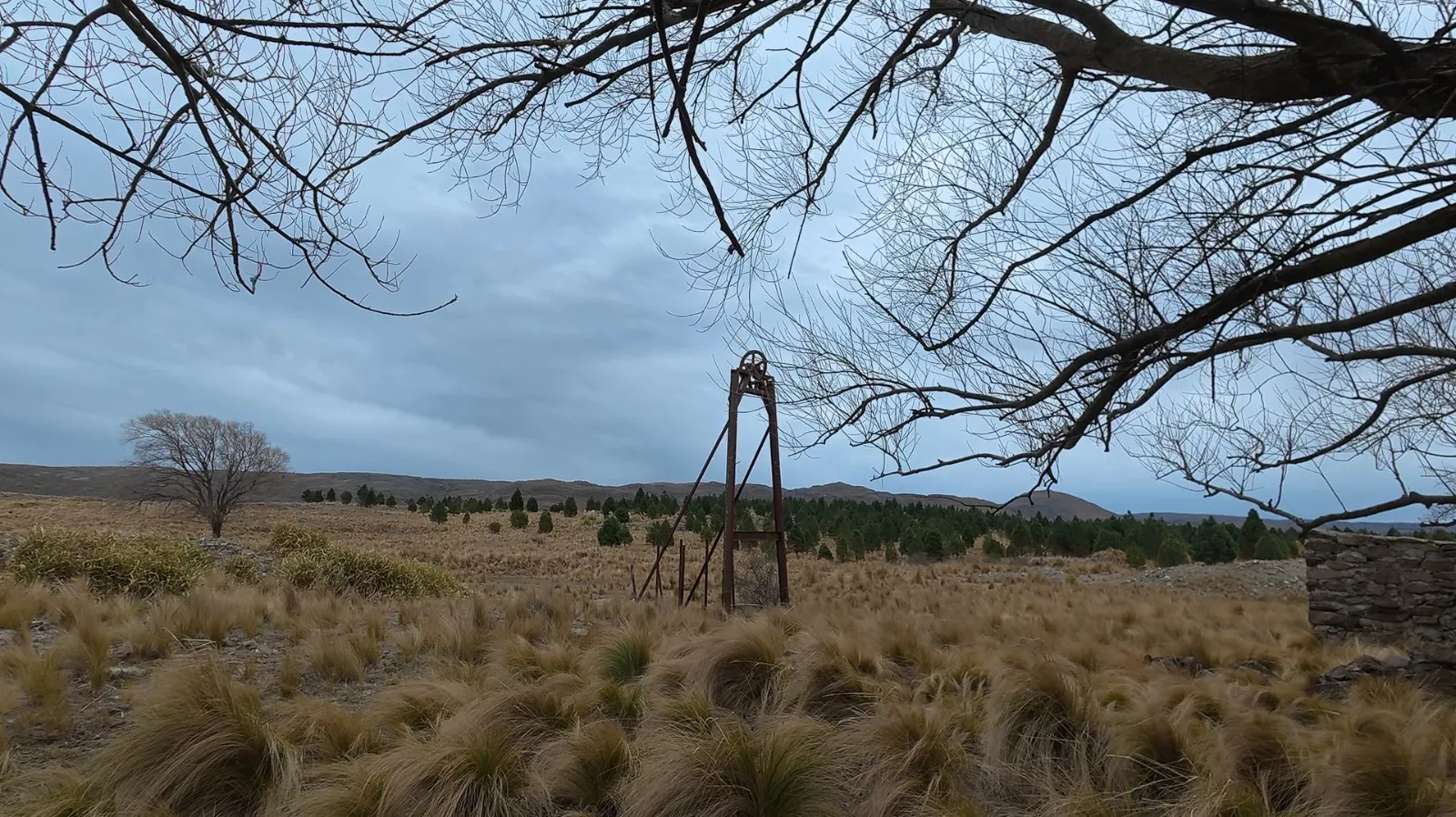🌄 60 HECTÁREAS EN VALLE DE PANCANTA – POTENCIAL TURÍSTICO