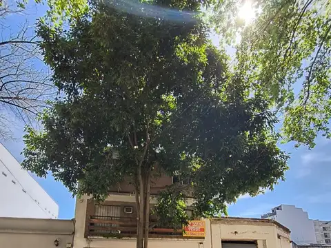 Departamento en Venta en Villa Ortuzar, Capital Federal