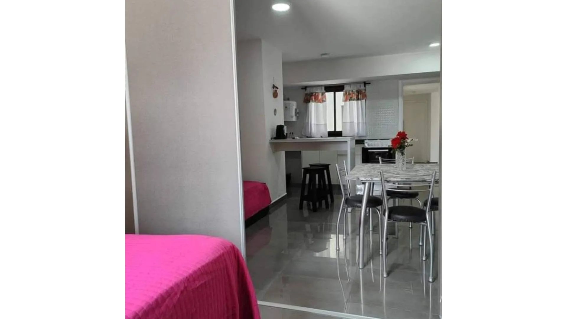 Departamento 1 Ambiente dividio