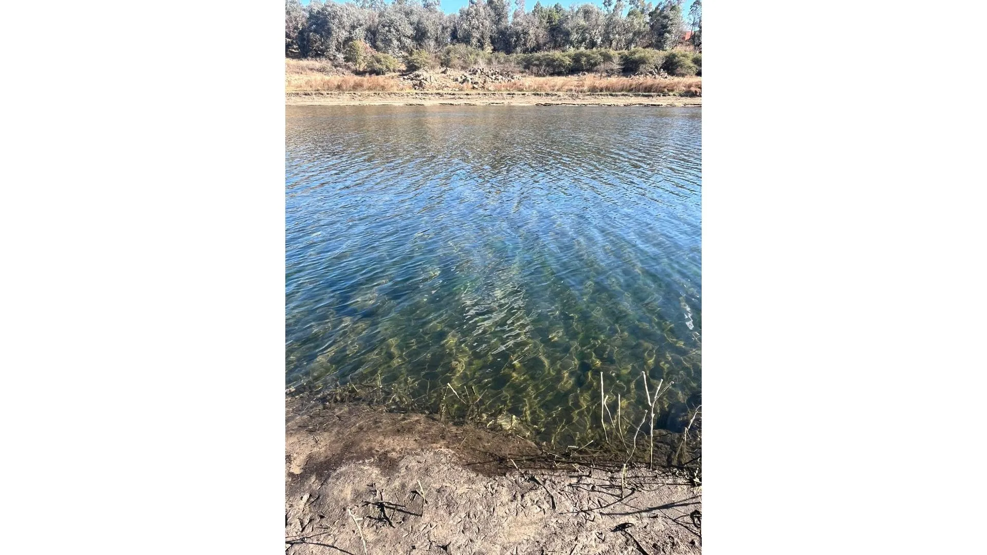 Los Espinillos. Córdoba. Lote con bajada al Rio