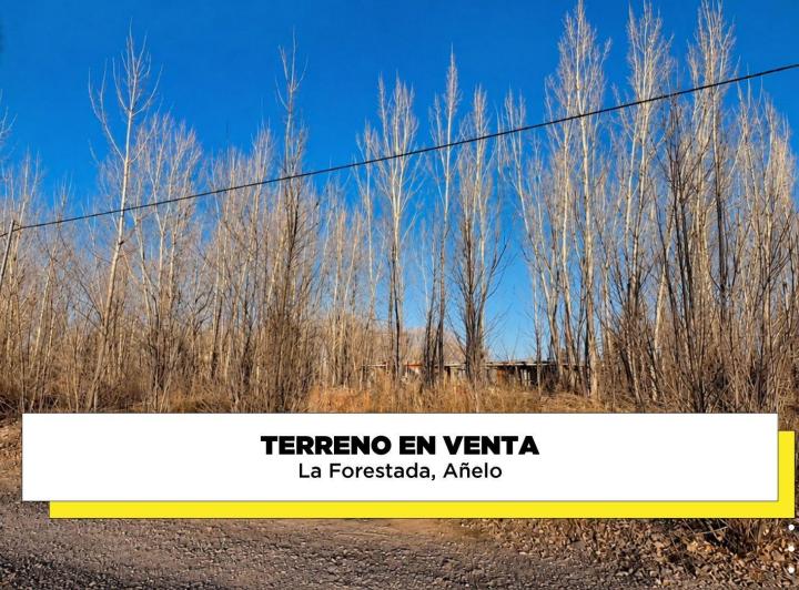 Terreno · 540m²