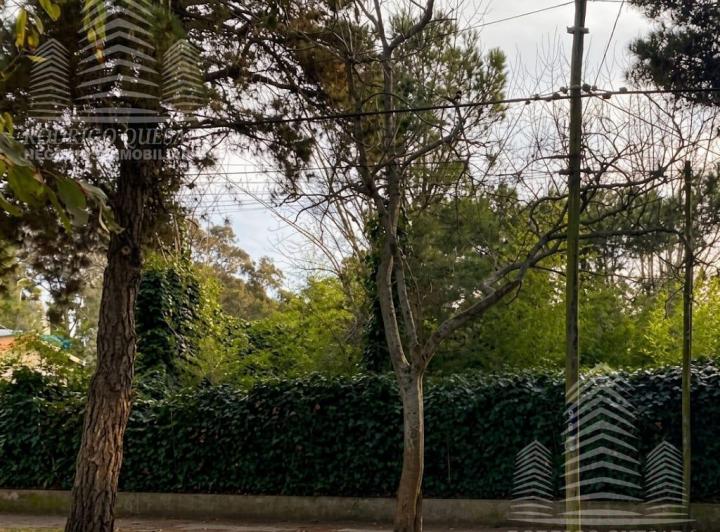 Terreno · 810m² · 10 Ambientes · 2 Cocheras