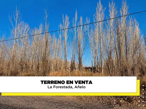 Terreno en Venta en Añelo, Neuquén
