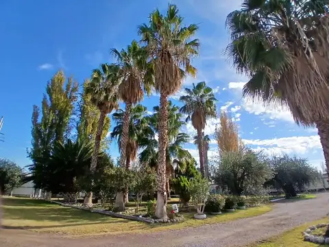 Quinta en Venta en Los Corralitos, Guaymallén