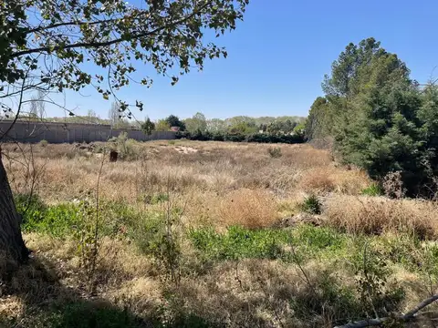Terreno en Venta en Luján de Cuyo, Mendoza