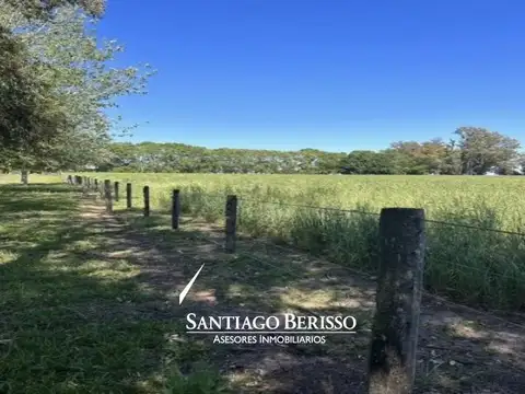 Campo en Venta en Pilar, Partido de Pilar