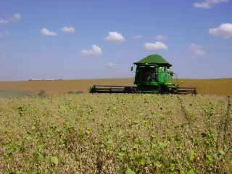 Campo en Venta en Rueda, Constitución