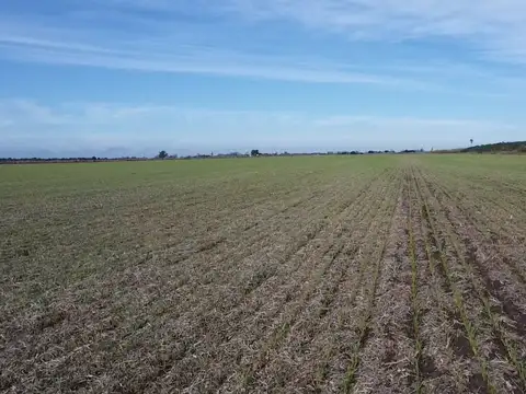 Campo en Venta en Rafaela, Castellanos
