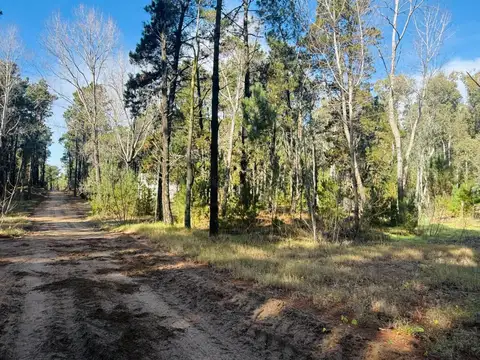 Terreno en Venta en Villarobles, Pinamar