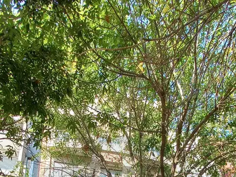 Departamento en Alquiler en La Loma, La Plata