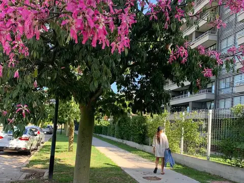 Departamento en Alquiler en San Fernando, Partido de San Fernando