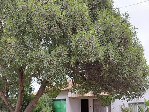 Casa en Venta en Santa Clara del Mar, Partido de Mar Chiquita