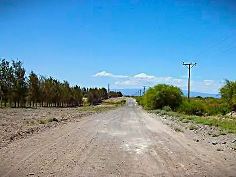 Campo en Venta en Encon, 25 de Mayo