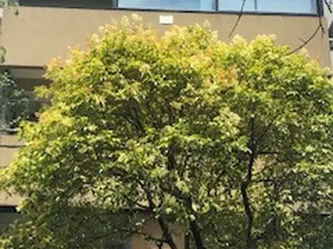 Departamento en Venta en La Plata, Partido de La Plata