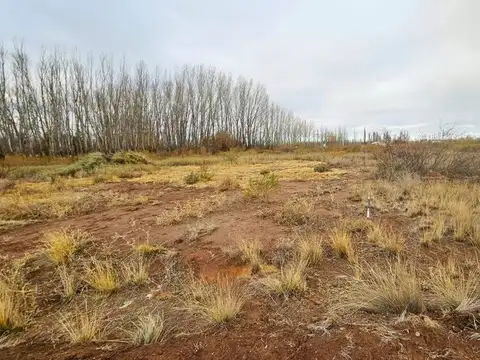 Terreno en Venta en Plottier, Confluencia
