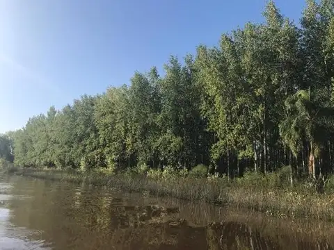 Casa en Venta en Arroyo Merlo, Gualeguaychú
