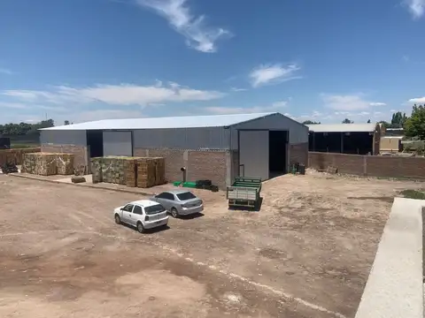 Galpón en Venta en Fray Luis Beltran, Maipú