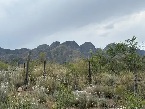 Terreno en Venta en Blanco Encalada, Luján de Cuyo