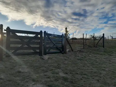 Terreno en Venta en San Pedro, San Alberto