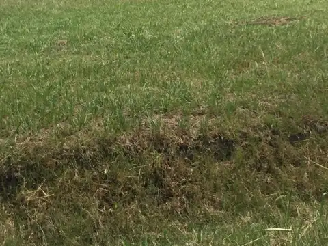 Terreno en Venta en Recreo, La Capital