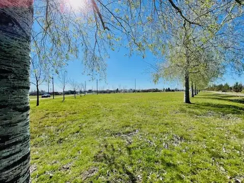 Terreno en Venta en Fincas de San Vicente, Canning