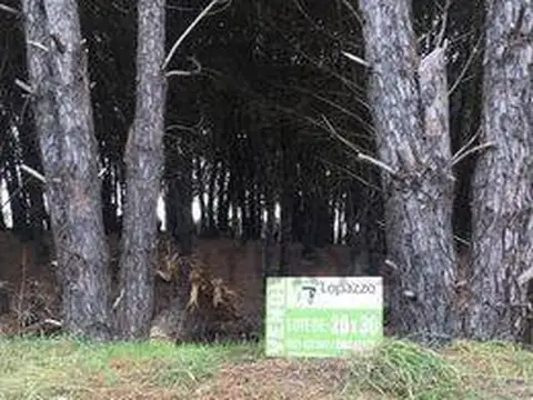 Terreno en Venta en Claromeco, Tres Arroyos