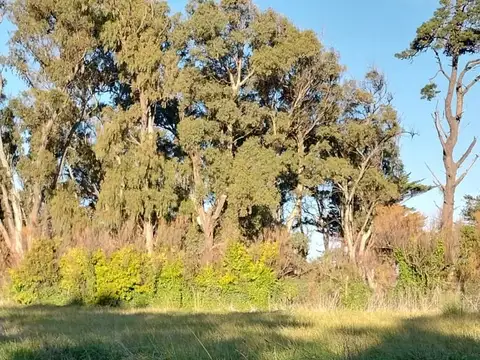 Terreno en Venta en Miramar, Partido de General Alvarado